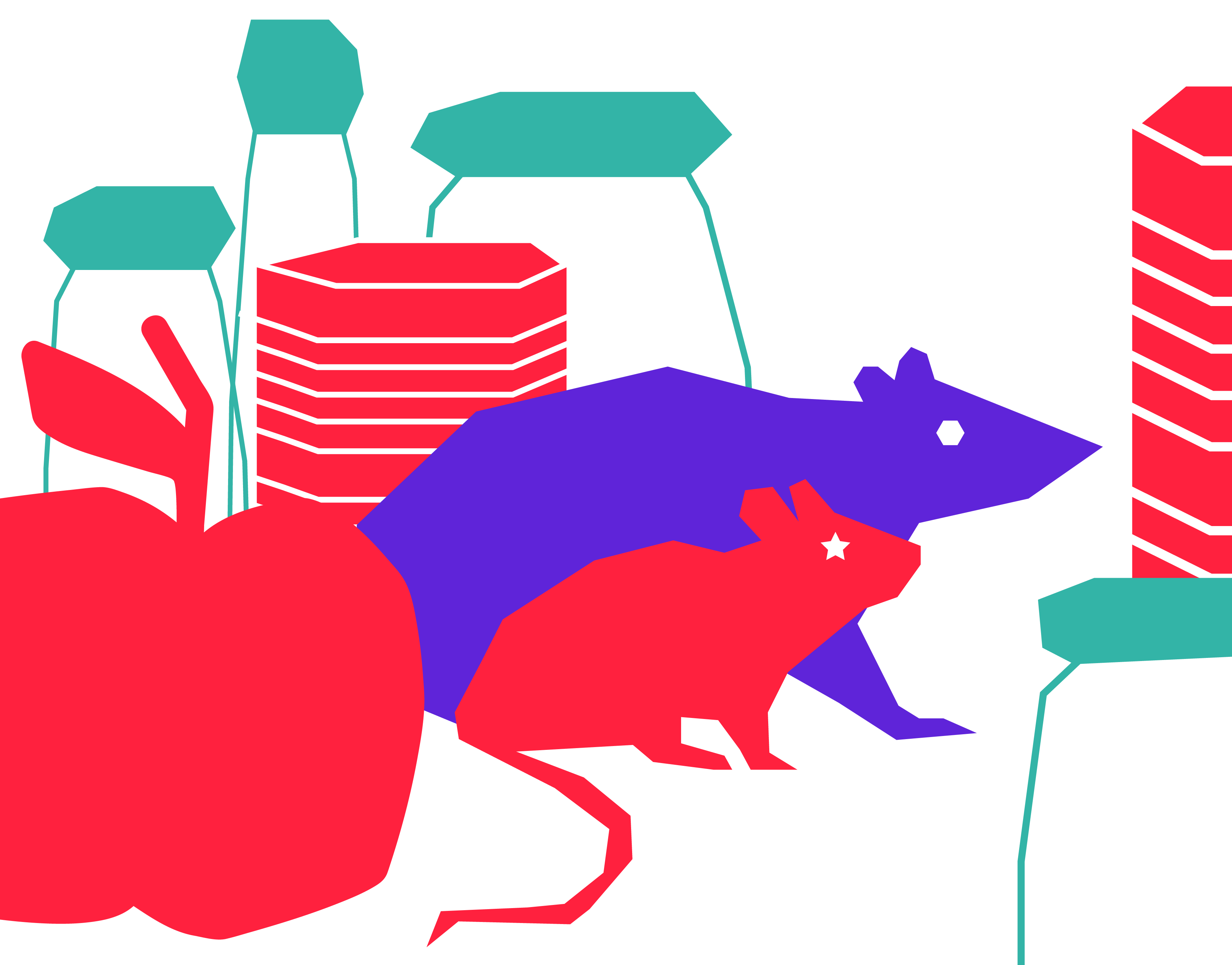 easytox schaedlingsbekaempfung kammerjaeger maeuse ratten speisekammer